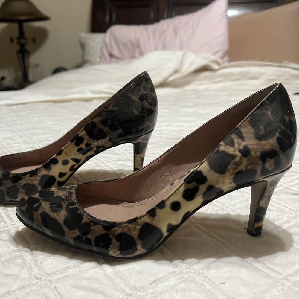 Vince Camuto